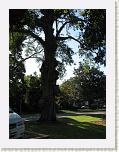 IMG_7387 (Medium) * 450 x 600 * (70KB)